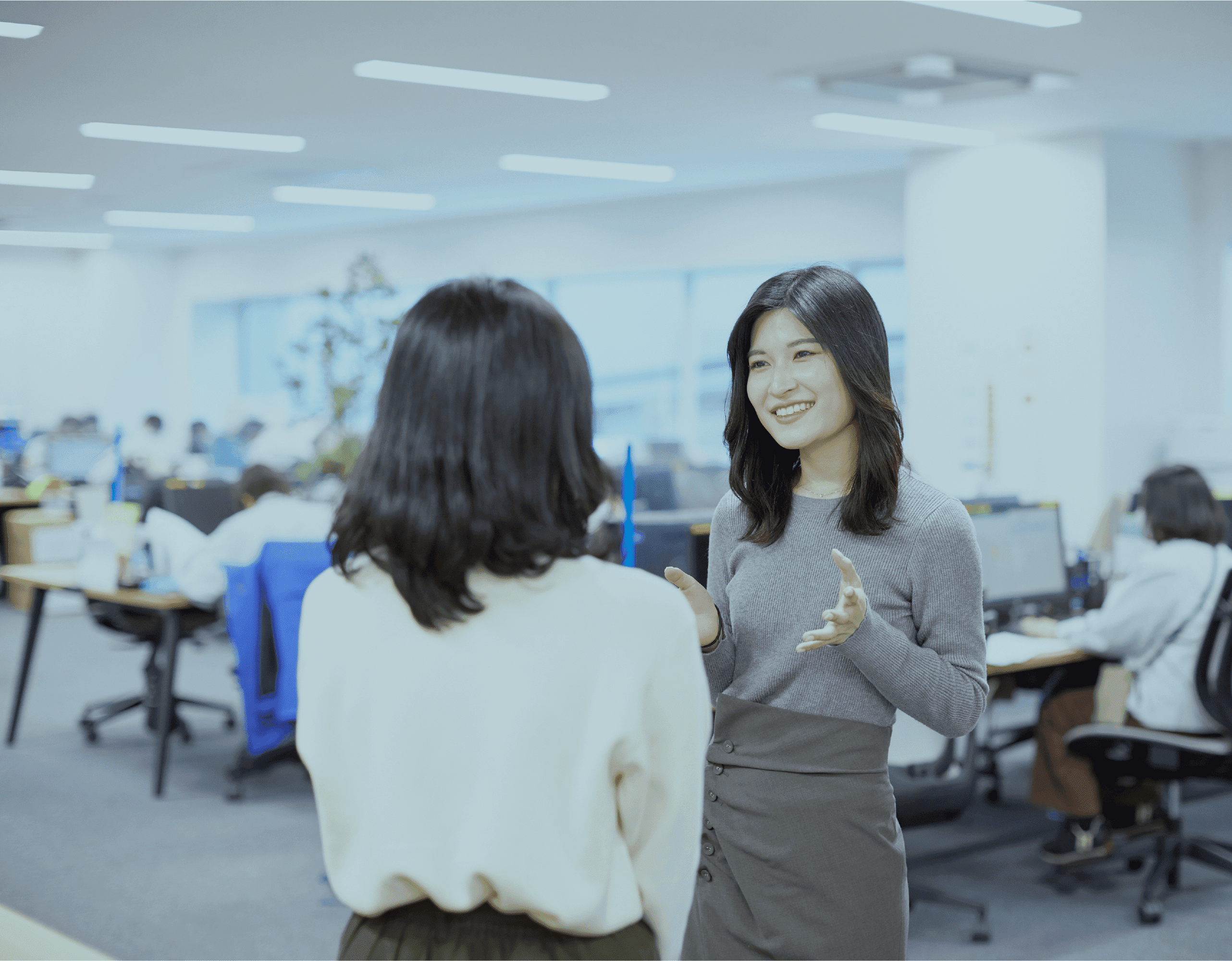 募集要項（新卒）