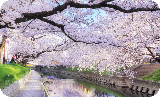 センターの雰囲気