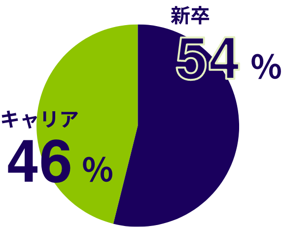 新卒・キャリアの割合